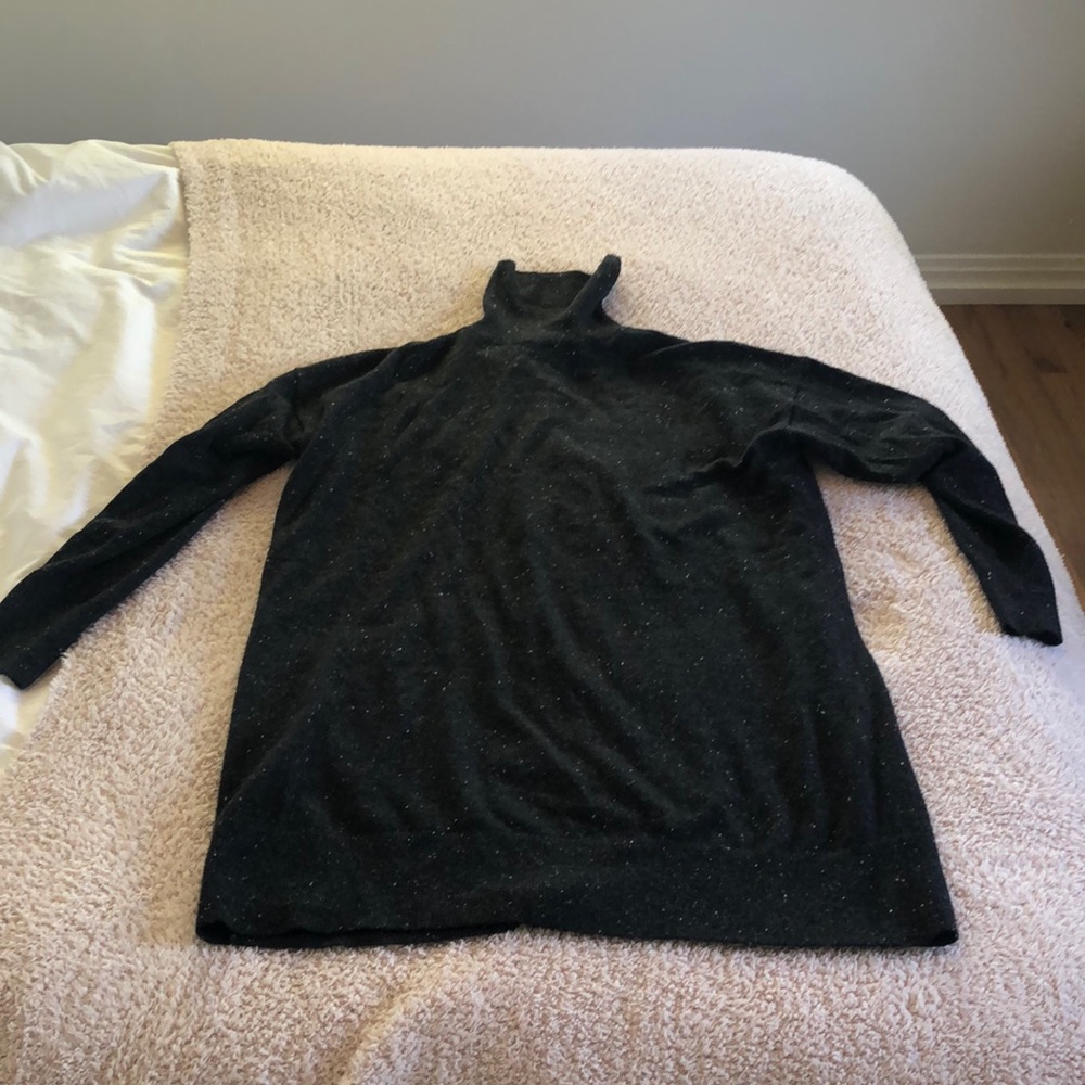 Cashmere Everlane oversized turtleneck sweater